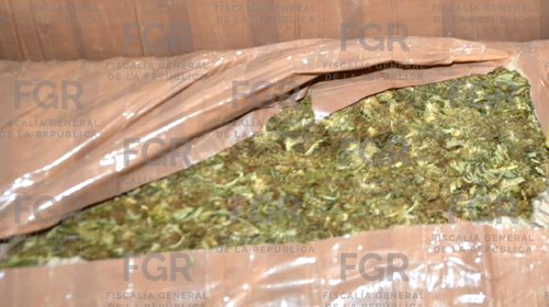 Aseguran 440 kilos de marihuana en carretera Torreón-Saltillo