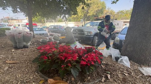 6b9a03ab_5fa7_4548_85b1_ddeff033e25d_2b2ccdf281