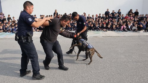 7793f312_805f_4d87_b0cb_33492b771228_c464262ecd