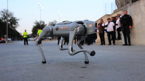 7d3b4fe6_a9db_4e25_8585_7b966e4a0ec9_99f32f0b05