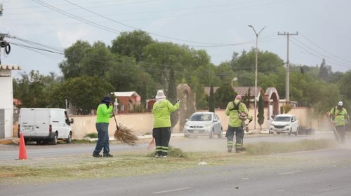 Saltillo retira maleza y limpia distintos sectores de la ciudad