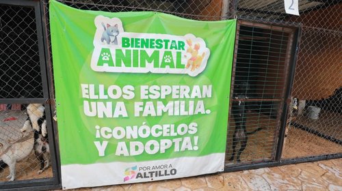 Saltillo promueve adopción responsable en Parque Urdiñola