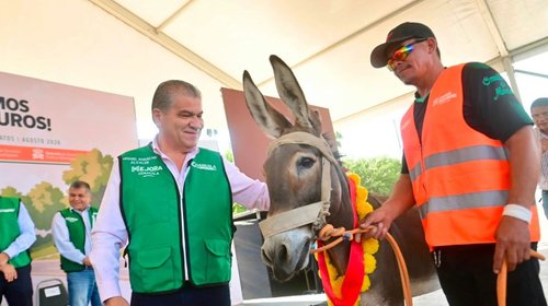 Refuerza Torreón el retiro de vehículos con animales de carga