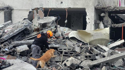 9b137df8_2fec_415a_b710_b695cc09c4ce_abd46fc510