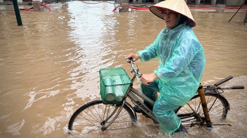 AP_25239221399258_6994b2b0cc