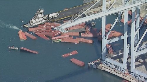 AP_25252772545973_efbc81d647