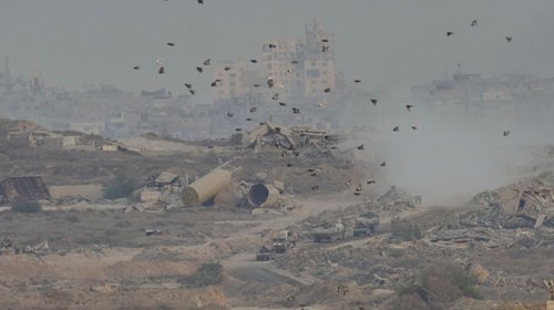 AP_25264371938711_9cb0508950