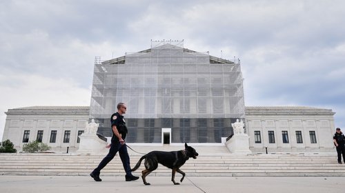 AP_25270470079636_8e5da42611