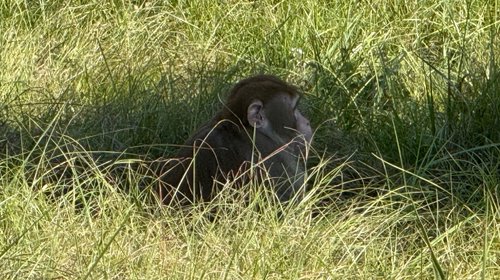 AP_25304829875415_4bd33c47f0