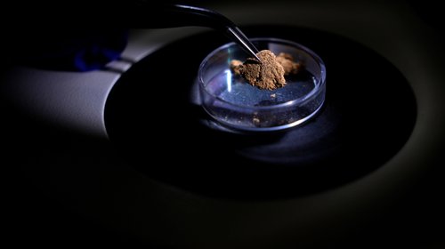 Brasil usa ciencia forense para frenar minería ilegal en Amazonía