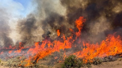 Se desploma aeronave que combatía incendio forestal en Utah