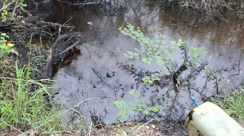 Amenaza_derrame_de_hidrocarburo_contaminar_laguna_de_Altamira_6b99bfa284