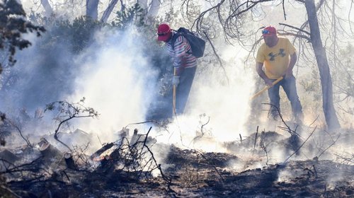 Arteaga_cierra_2025_con_incendio_forestal_casi_sofocado_1dea798962