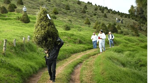 Captura_de_pantalla_2025_12_08_a_la_s_8_40_36_p_m_3ffcc542a1