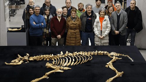 Captura_de_pantalla_2026_02_09_a_la_s_8_25_10_p_m_dfebaaf939