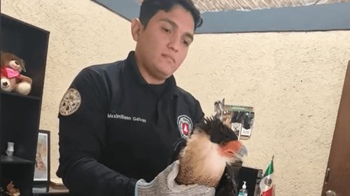 Captura_de_pantalla_2026_04_08_230342_918a141c45