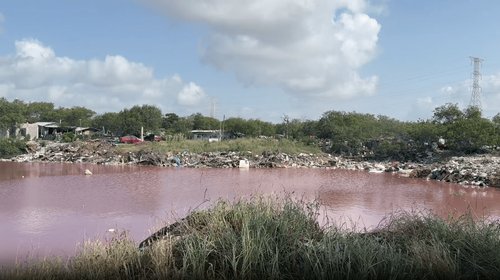 Analizan laguna de color rosa en colonia Jerusalén de Matamoros