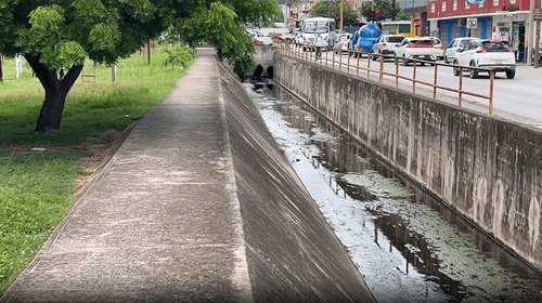 Protección Civil advierte riesgos por presencia de cocodrilos