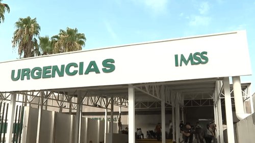 Muere niño tras complicaciones por presunta picadura de insecto