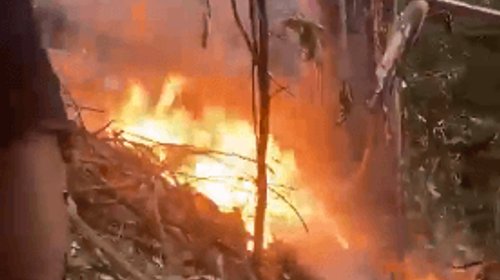 Cuatro personas fallecen tras caída de helicóptero en Brasil