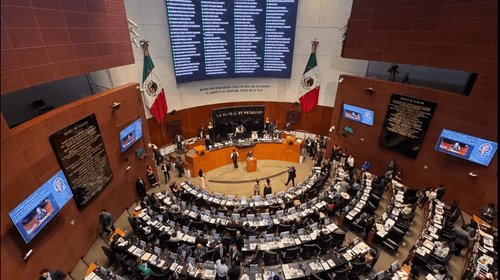 Senado aprueba Ley de Bienestar Animal contra maltrato y abandono