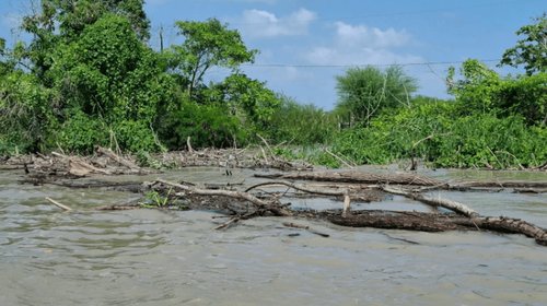 Lagunas del sur de Tamaulipas superan nivel de referencia