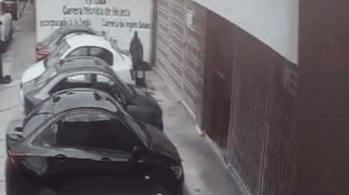 Joven reconoce agresión a cachorro captada en video en Saltillo