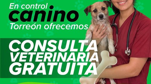 Ofrecen servicios veterinarios gratuitos para mascotas en Torreón