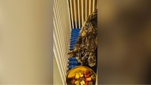 Copia_de_Copy_of_PLANTILLAS_WEB_DIC_5_c614e6040b