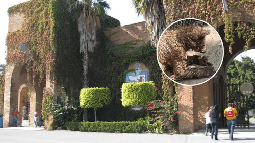 EH_CONTEXTO_11_8ce8629477