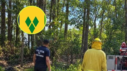 Ataque armado deja cuatro muertos en San Vicente y las Granadinas