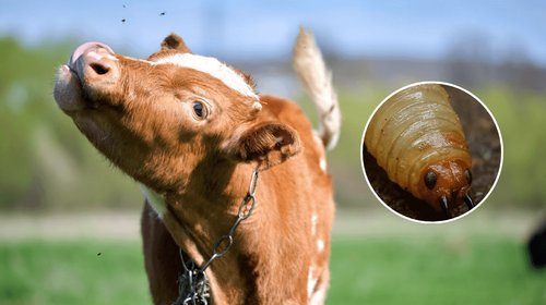 EH_CONTEXTO_4_0ceaa4e2c9