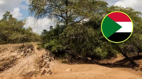 Colapsa mina de oro en Sudán y 11 personas pierden la vida