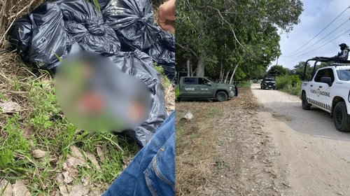 EH_DOS_FOTOS_2025_10_13_T123048_153_25109b498f