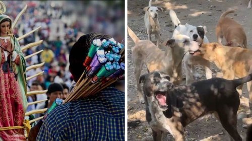 EH_DOS_FOTOS_2025_11_30_T120717_852_c1c283f3f7