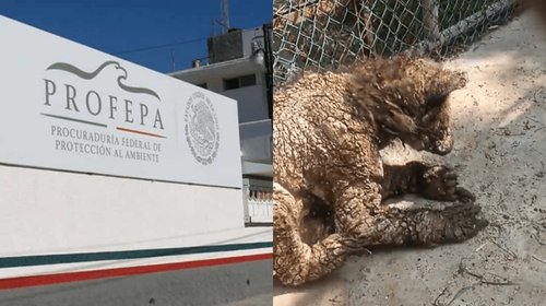 EH_DOS_FOTOS_47_fe59ecb8da