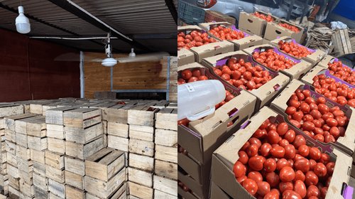 EH_DOS_FOTOS_48_3f2e4ee959