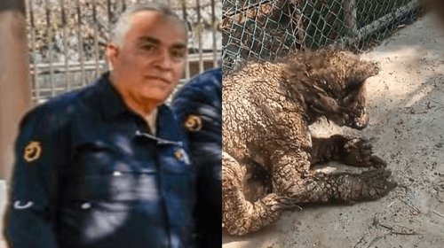 EH_DOS_FOTOS_55_ae01e82fa1