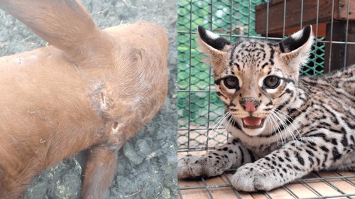 EH_DOS_FOTOS_73_458e180f3a