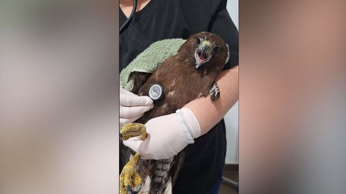 EH_FOTO_VERTICAL_192ca5d139