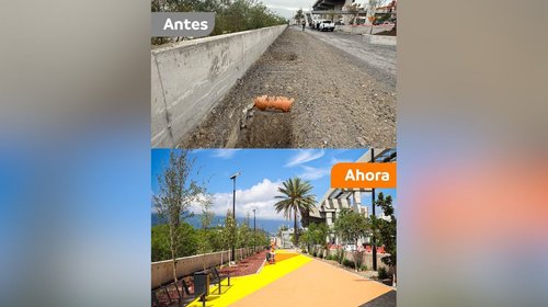 Plantan más de un millón de árboles en Nuevo León