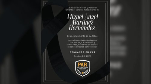 EH_FOTO_VERTICAL_93_555459248d