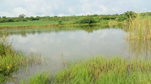 EH_UNA_FOTO_17178d0316