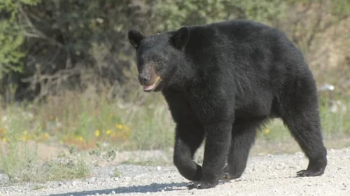 EH_UNA_FOTO_1_403e9ff762