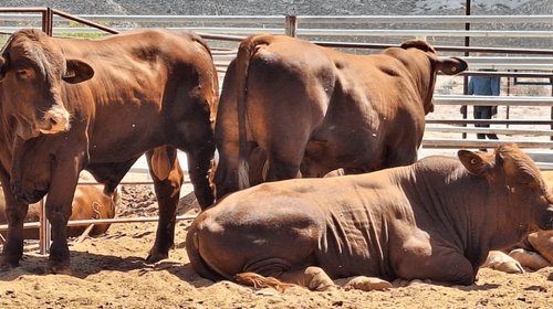 EH_UNA_FOTO_2025_10_02_T144625_139_3a58a382bb