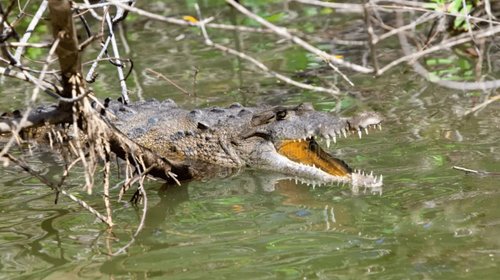 EH_UNA_FOTO_2025_10_04_T110754_769_c8b1ba2385