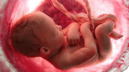 EH_UNA_FOTO_2025_10_09_T114805_186_847d193e3d