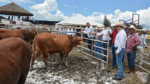 EH_UNA_FOTO_2025_10_09_T130435_214_5c8487b7e0