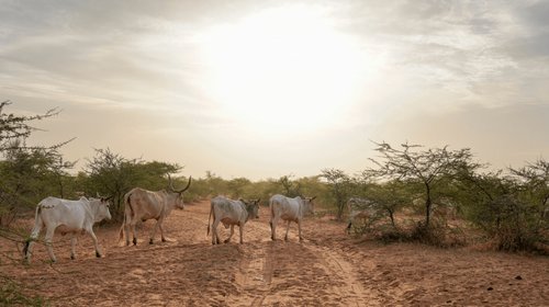 EH_UNA_FOTO_2025_10_17_T093203_601_c008478e16