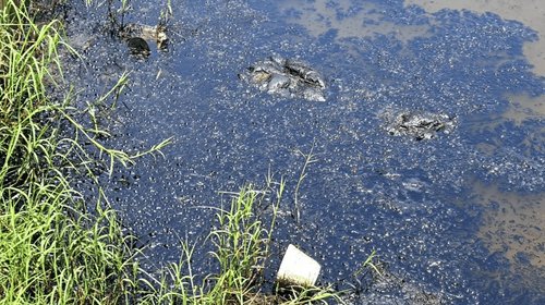 EH_UNA_FOTO_2025_10_24_T084108_984_88c2cfb5b5